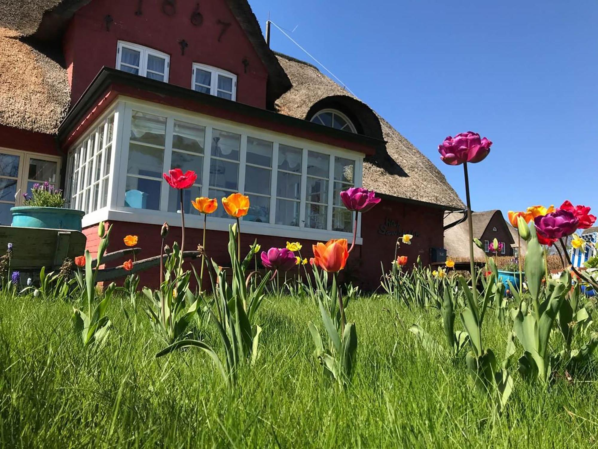 Hues Sanskiin Ferienwohnung *Goodshenk* Suddorf Exterior foto